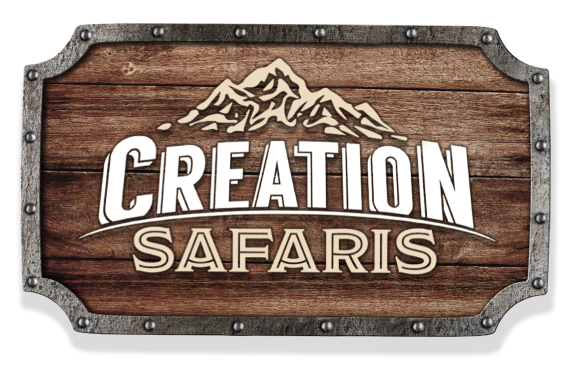 Creation Safaris